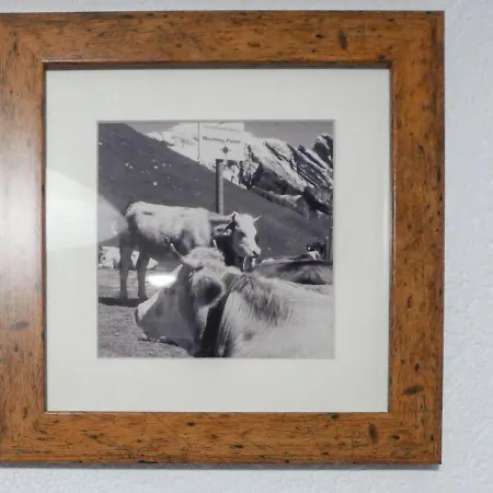 Nagano By Interhome 公寓 *