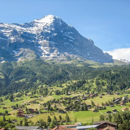 Nagano By Interhome 公寓 格林德瓦