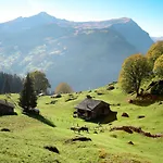 Nagano By Interhome Lejlighed Grindelwald